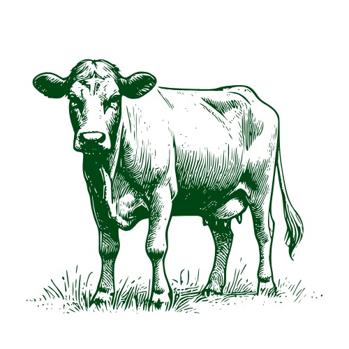 بھینس